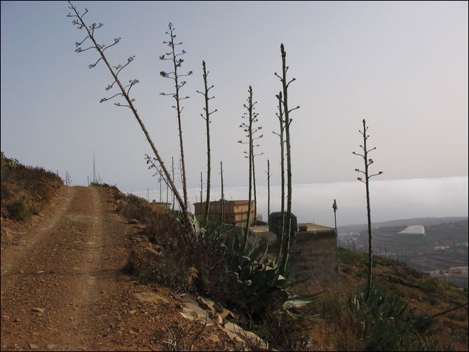 The road to the shack