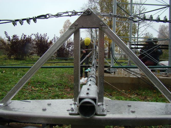 Mazs virins un liela antena