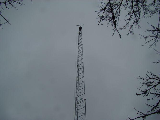 Alex gaida 40 m augstuma