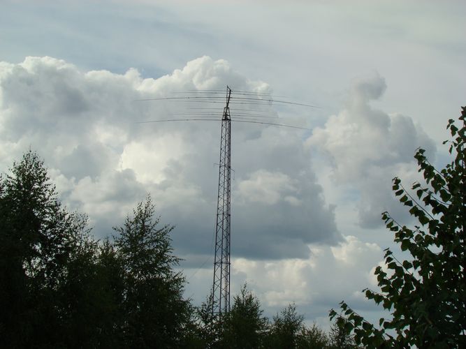 Antenite ir tali prom