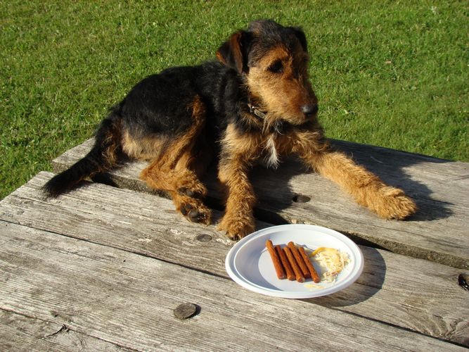 Nevaru vairs_ kur mana mugursoma